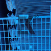 Scaffolding Safety Access Gate para sa Scaffold