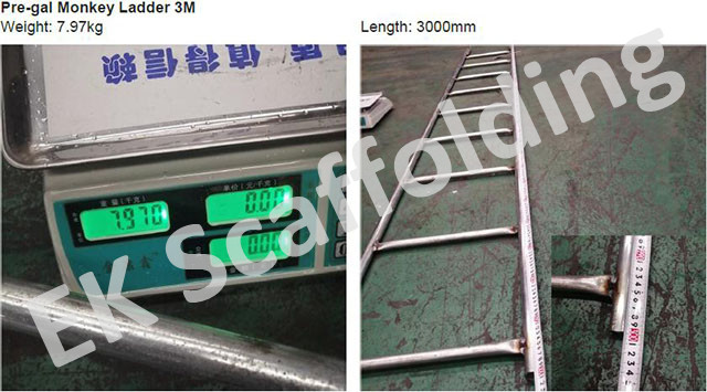 Scaffolding Steel Ladder