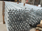 Hot Dip Galvanized HDG Ringlock Scaffolding Standard