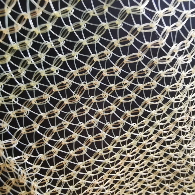 Konseho ng Kaligtasan sa Konseho para sa Building Mesh