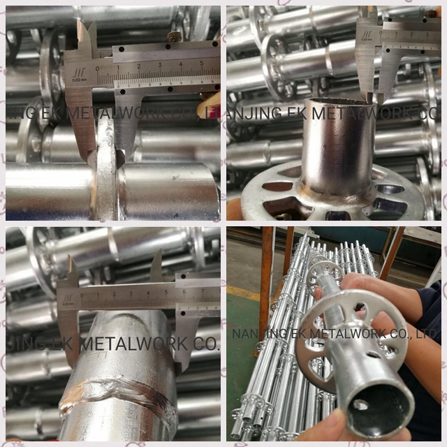 Pamantayan sa Ringlock