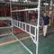 Pinapalakas ng Galvanized Cuplock ang Beam Scaffolding System